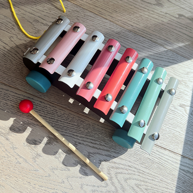 Montessori Educational Toy Set - Musical Instrument Game ulasan dan harga