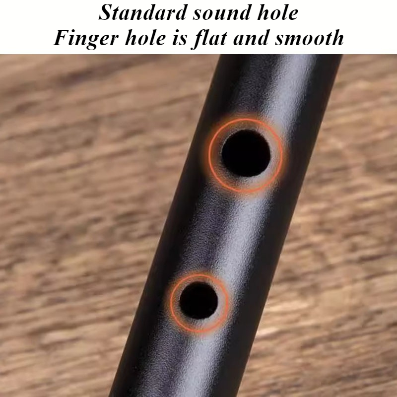D Key Tin Whistle Beginner Chi - Penny Whistle D ulasan dan harga