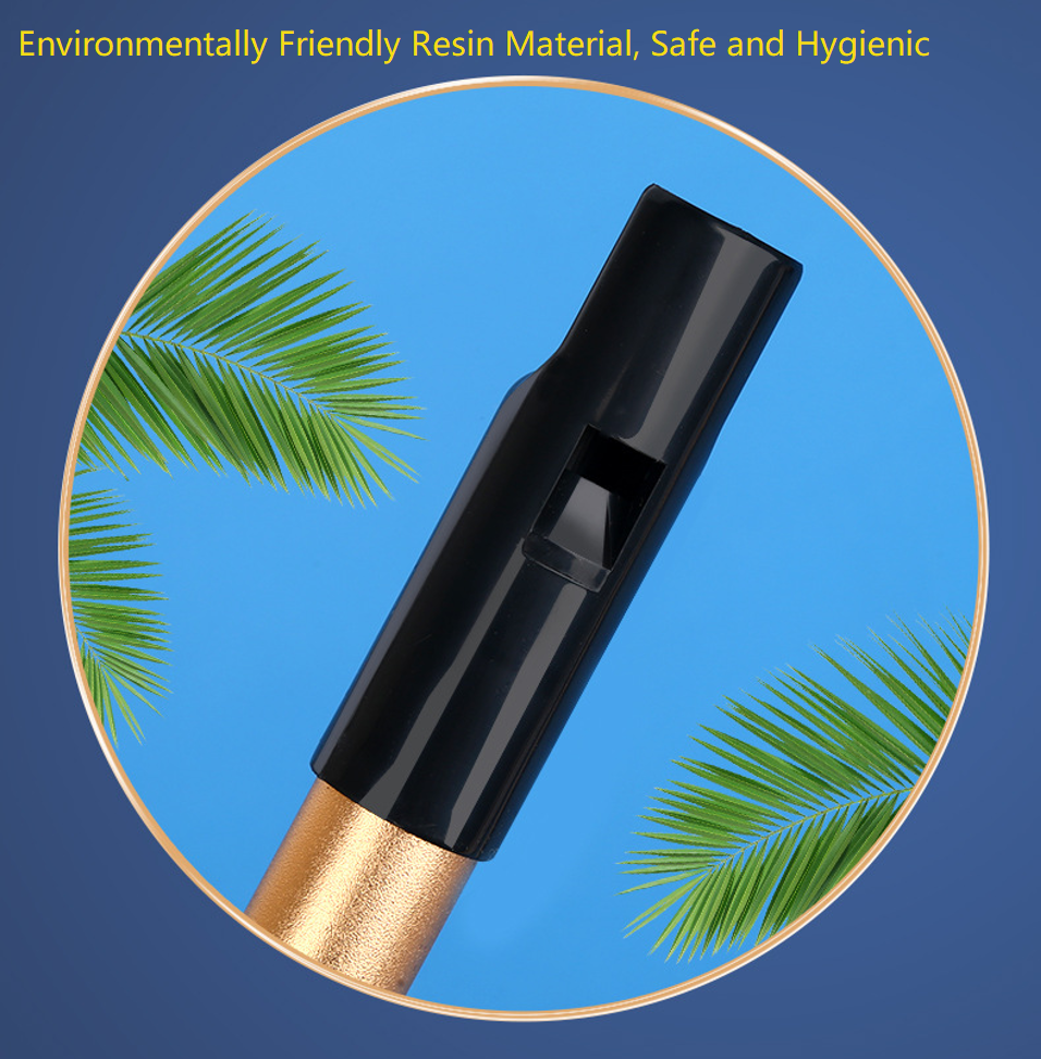 Authentic Irish Whistle Flute  - Penny Whistle D ulasan dan harga