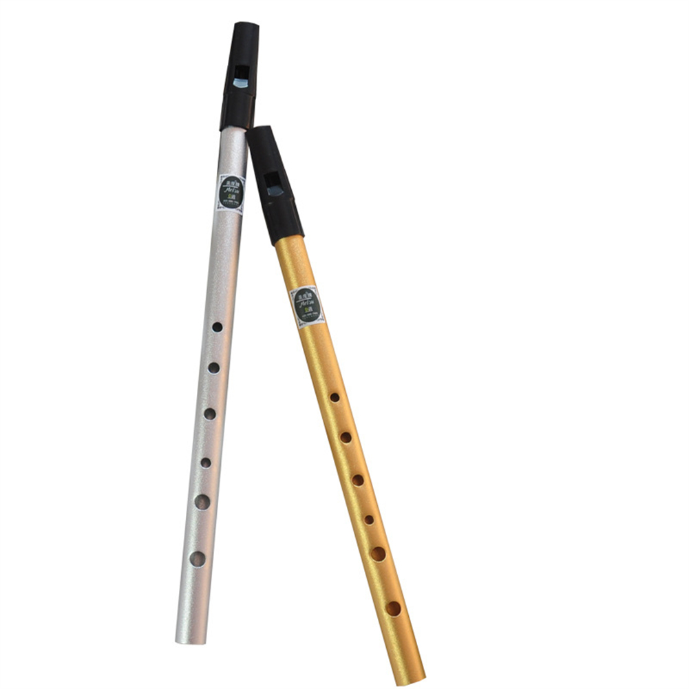 Irish Whistle Flute C/D Key Ir - Penny Whistle D ulasan dan harga