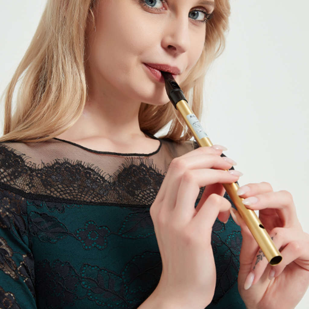 NAOMI Tin Whistle D Key Brass  - Penny Whistle D ulasan dan harga