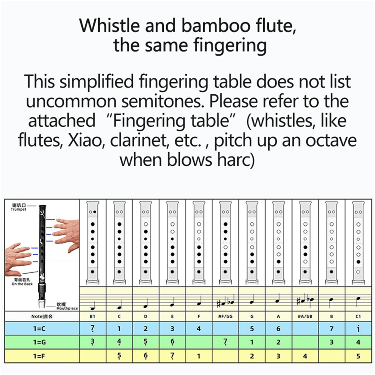 ABXHH 6 Holes Irish Tin Penny  - Penny Whistle D ulasan dan harga
