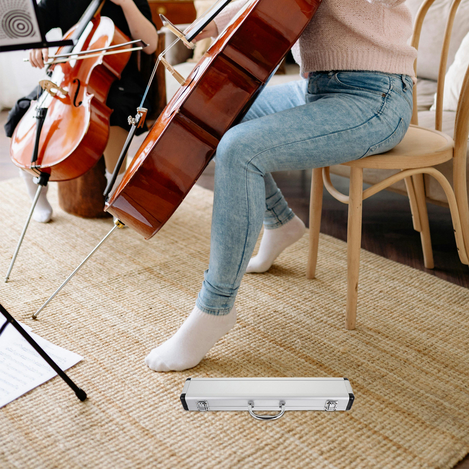 Flute Case Aluminum Alloy Port - Musical Instrument Box ulasan dan harga