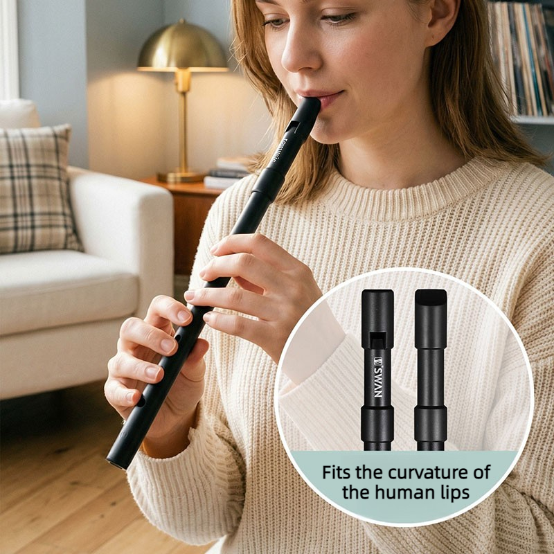 C/D Key Tin Whistle Beginner P - Penny Whistle D ulasan dan harga