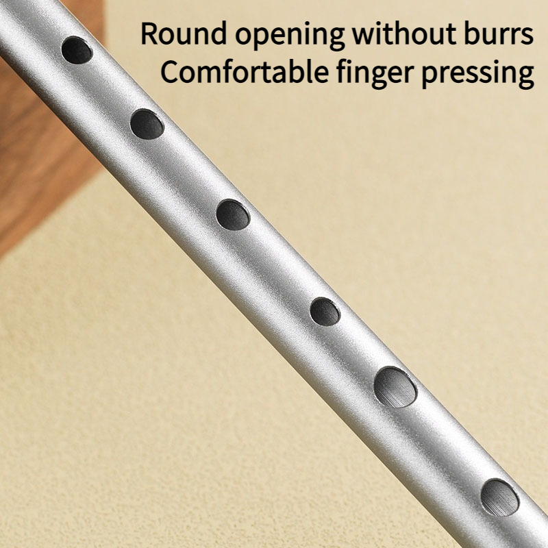 C/D Key Tin Whistle Beginner P - Penny Whistle D ulasan dan harga