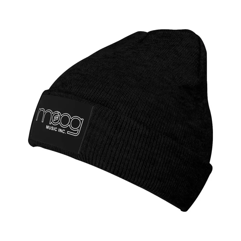 Moog Synthesizer Mogue Musical - Musical Instrument Logo ulasan dan harga
