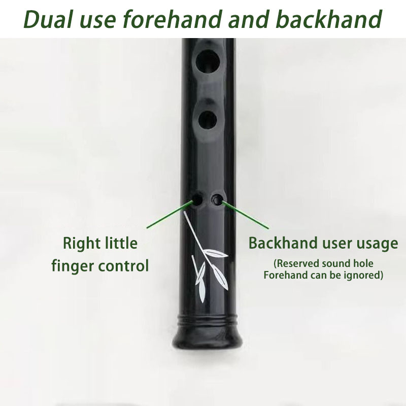 D/C Key Resin Penny Whistle Ad - Penny Whistle D ulasan dan harga