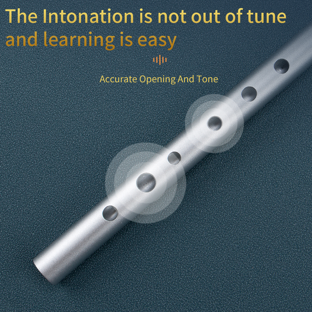NAOMI High D Aluminum Alloy Pe - Penny Whistle D ulasan dan harga