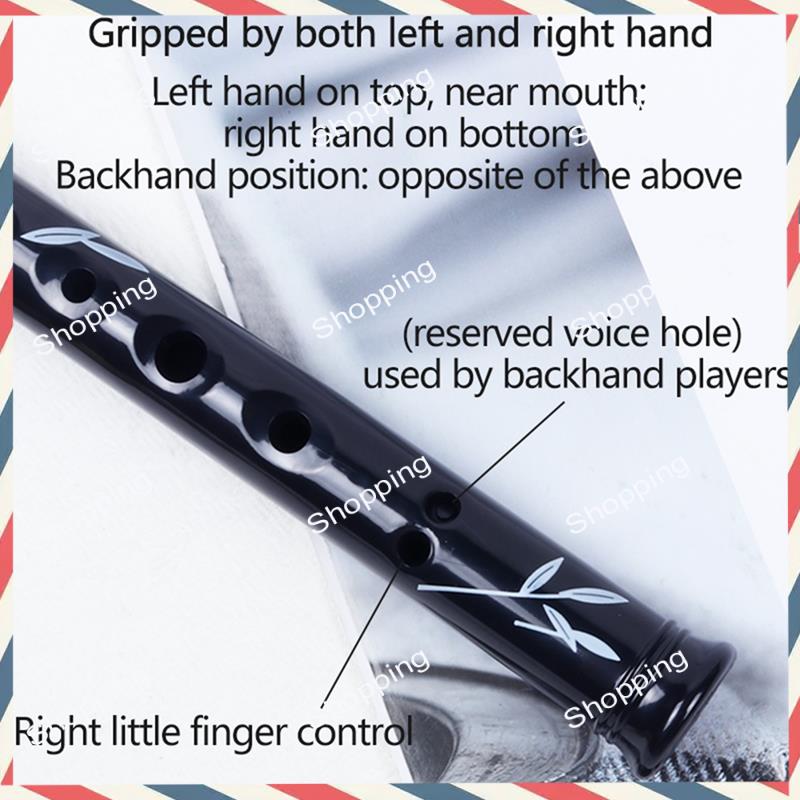 A44M 6 Holes Irish Tin Penny W - Penny Whistle D ulasan dan harga