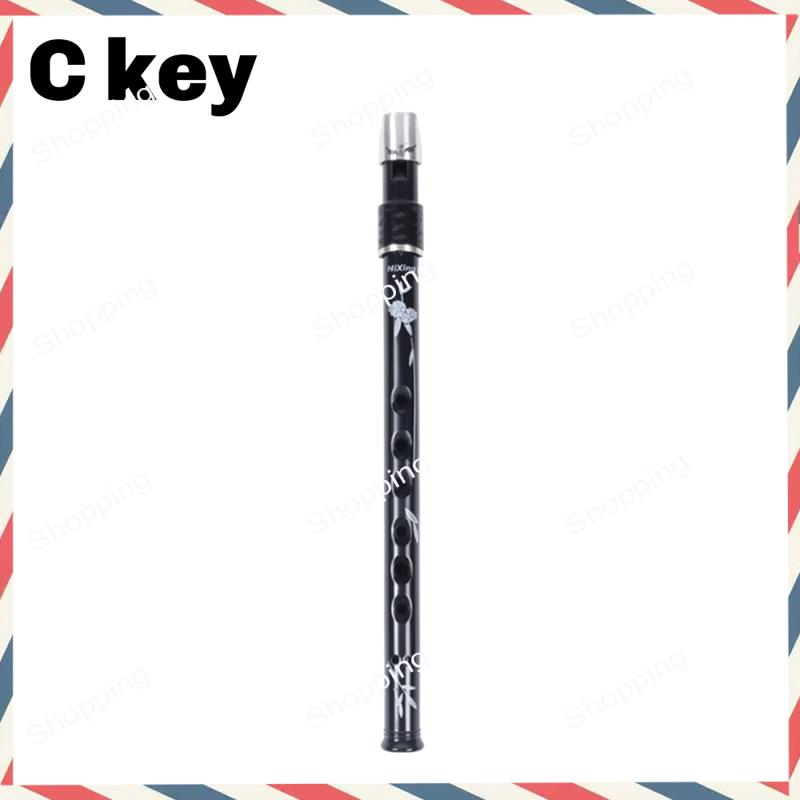 A44M 6 Holes Irish Tin Penny W - Penny Whistle D ulasan dan harga